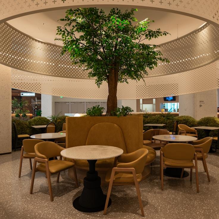 School choices for expat families in Amsterdam, Netherlands